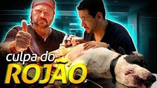 Miniatura do vídeo
