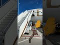 SEXY DARNA BIGO LIVE INTERNATIONAL BROADCASTER DANCING IM LIVING ON A JET PLANE