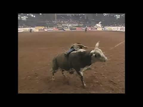 Hollywood bucks Sam Medlock - 00 PBR Guthrie