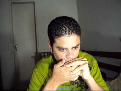 Have You Ever Seen The Rain - Creedence - Na Gaita - On Harmonica