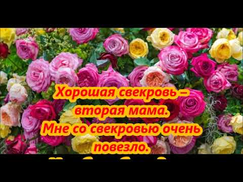 Поздравления От Невестки Свекрови Видео