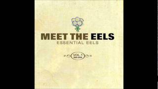 The Eels - Last stop this town