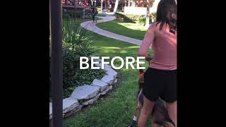 Leash reactivity/aggression fixed in one session.