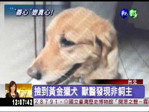 撿到黃金獵犬 想分十分之三!?