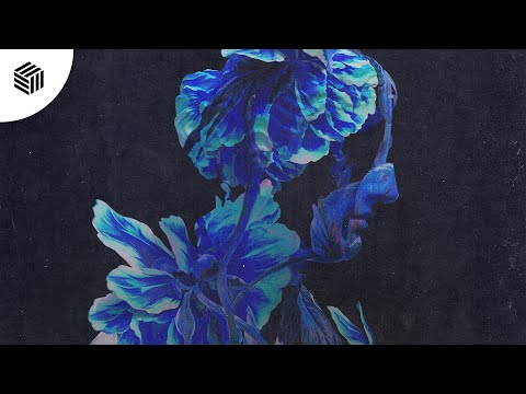 Blaze U, Anekdote & Cuervo - Can't Feel My Face (ft. Koa)