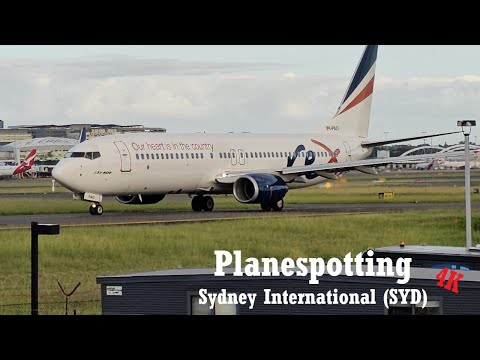 Planespotting 4K Sydney International (SYD) - Arrivals and Departures #planespotting #4k #aviation