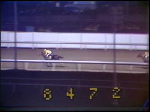 1982 Meadowlands Cup - Mehmet & Ed Delahoussaye
