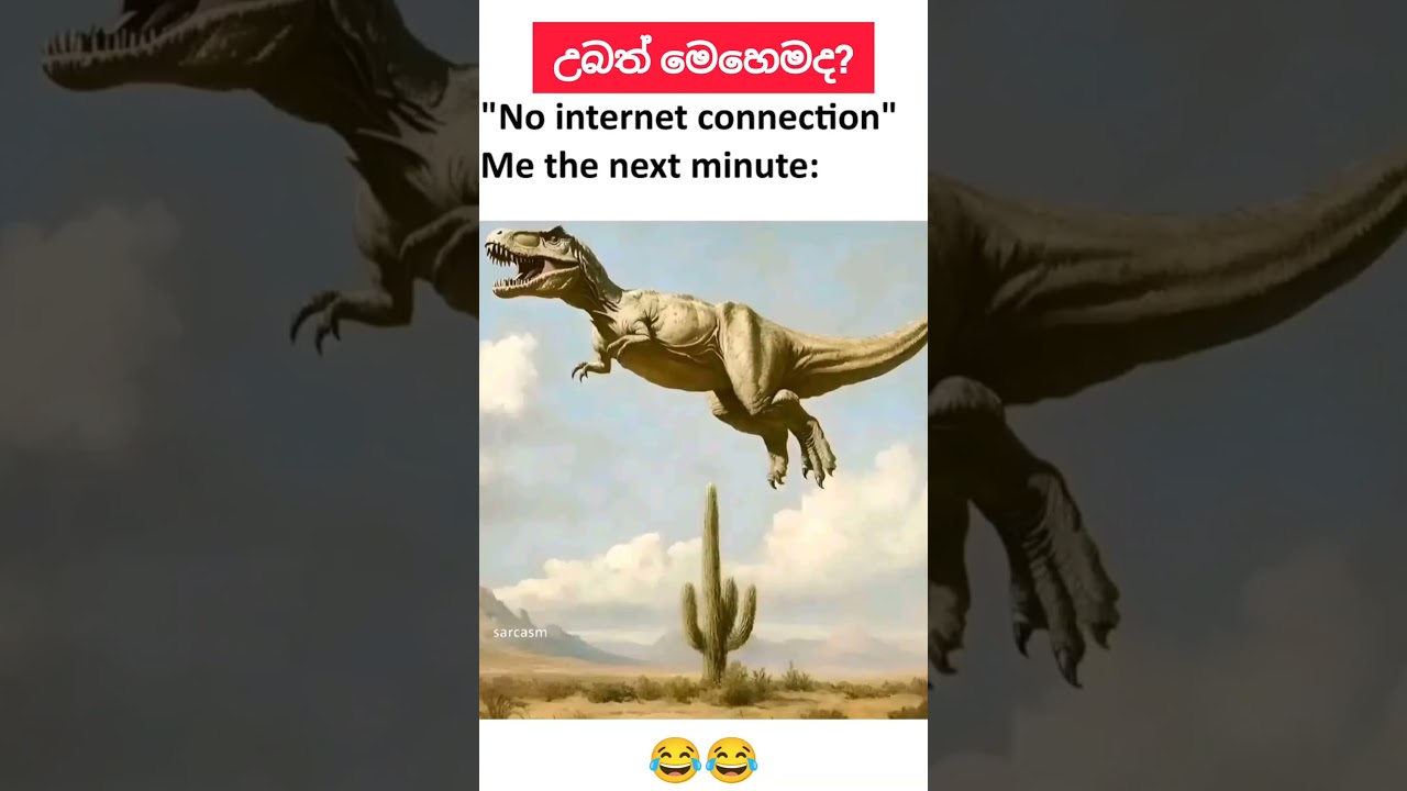 හැමෝටම තේරෙන් නැති එව්වා. 🥲