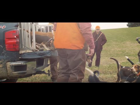 download lagu mp3 mp4 Jj Dogs, download lagu Jj Dogs gratis, unduh video klip Jj Dogs