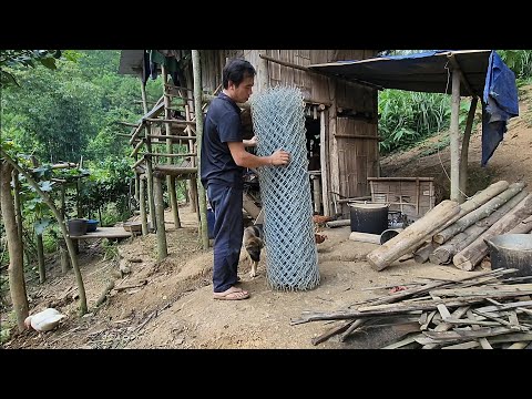 Building a new fence for the house, Survival instincts, Building a life (EP 185)