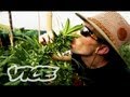 Kings of Cannabis: Part 1/3 (Documentary) 