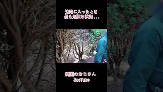 うんちをしたいんだけど、出られない  #韓国vlog