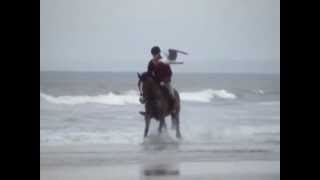 preview picture of video 'Fraisthorpe Beach - Riding'