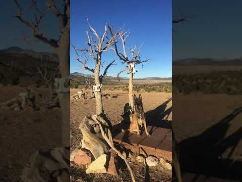 Fort Garland Colorado 2022