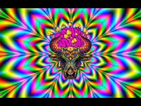 MDMA Mix #5 - Mix |Hardtek/Tribecore] - Dj Free boks