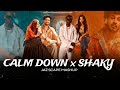 Calm Down X Shaky JAZ Scape Mashup Sanju Rathod Rema Selena Gomez