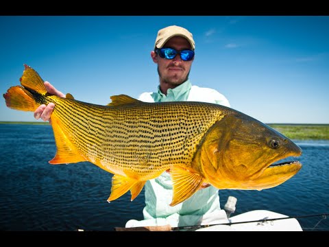 Fly fishing in Pirá Lodge - Guides video. Season 2016