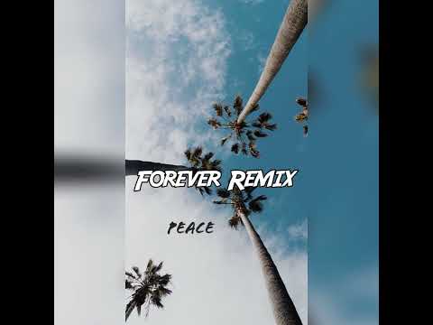 Urban Boyz - Forever Remix [Dj Box]