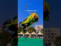 Makar Sankranti Celebration Ahmedabad Gujarat Shorts Trending Viral Ahmedabad Gujarat Kite