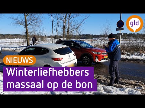 Winterliefhebbers massaal op de bon in natuurgebied Overasselt