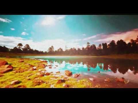 P.o.l.a.k.i - Затерянный остров (Receptor Remix) [Demo]