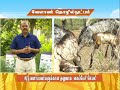 Pon Vilaiyum Bhoomi 13 04 2021 Agricultural Technology