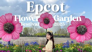 【必見】エプコットの春限定フード🍮＆映えすぎな可愛いキャラクター達のトピアリー🦌🌼 フラワー＆ガーデンフェスティバル2025