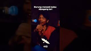 Download lagu Jinak Burung Merpati mp3