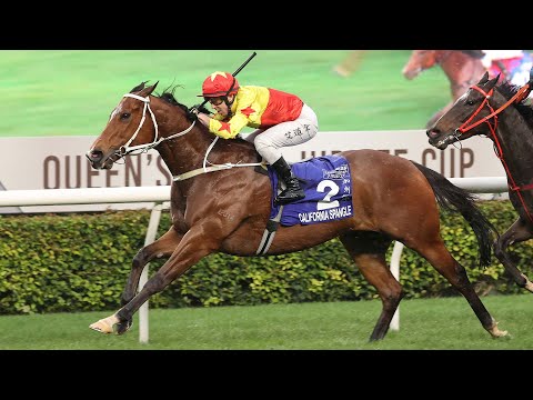 クイーンズシルバージュビリーカップ（G1） 2024/3/10(日) | 日程