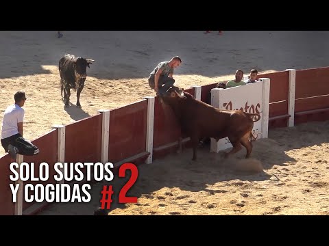 Toros Bravos Solo Sustos y Cogidas Parte #2