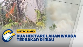 Download lagu bakaran Landa Dua Hektare Lahan Warga di Rimbo Panjang [Metro Siang] mp3