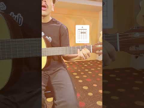 Your Name - Frankie Cosmos