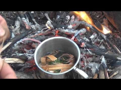 Bushcraft und Birkenbast (Kambium)