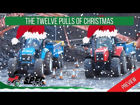 DONKEYCAM   A preview of the 12 Pulls of Christmas!