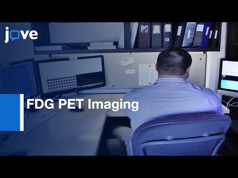 FDG PET Imaging for Studying M. tuberculosis Infection and Treatment | Protocol Preview