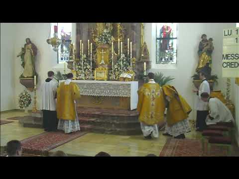 1. November 2025 - Levitiertes Amt im tridentinischen Ritus - Priesterseminar Herz Jesu