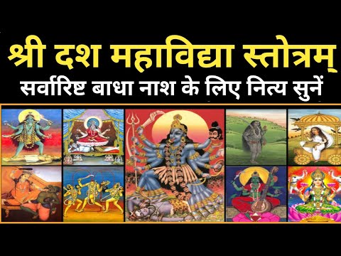 प्रतिदिन जरूर सुनें | श्री दश महाविद्या स्तोत्रम् |सर्वारिष्ट बाधा नाश व सर्व कामना के लिए