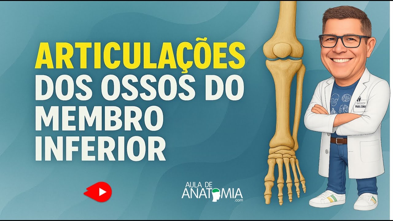 ARTICULAÇÕES DOS OSSOS MEMBRO INFERIOR #anatomia #fisioterapia #medico #aula #traumatologia #ossos