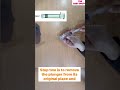 Flat Inverted Nipple Solution For Breast Feeding Drlavanya Breastfeeding Newborn Shorts