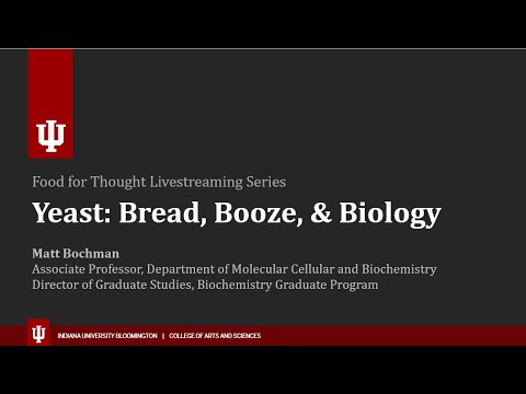 Yeast: Bread, Booze, and Biology