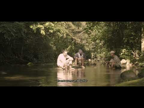 5 - MOB79 - Beija Flor