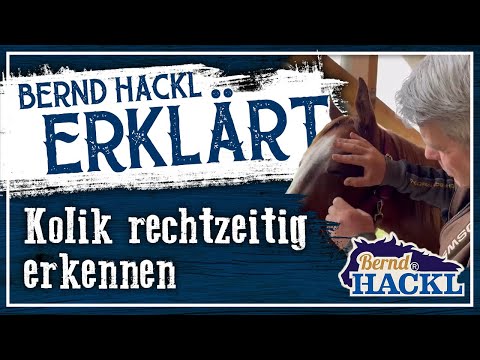 Kolik rechtzeitig erkennen | Bernd Hackl erklärt! 🐴