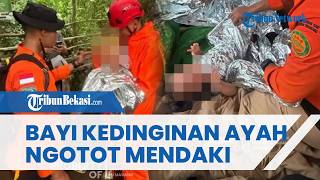 Viral Bayi 1,5 Tahun Dievakuasi Hipotermia di Gunung Ungaran, Ayah Sempat Ngotot Lanjutkan Pendakian