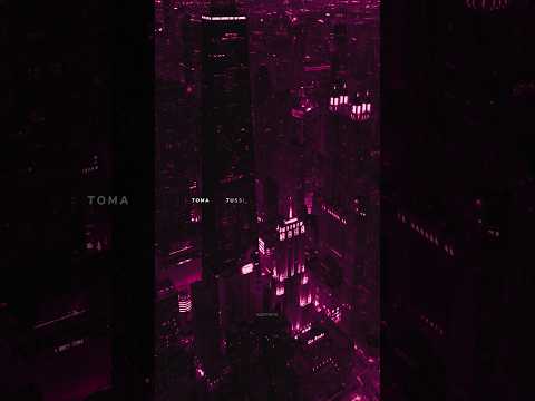 Toma tussi gasta la plata - Lil Jaico💖 | music | lyrics | trending | aesthetic | shorts | peace