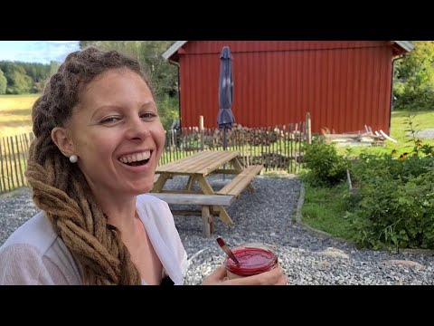 Kortreist bringebærpannacotta fra Aurskog-Høland? Ja takk!