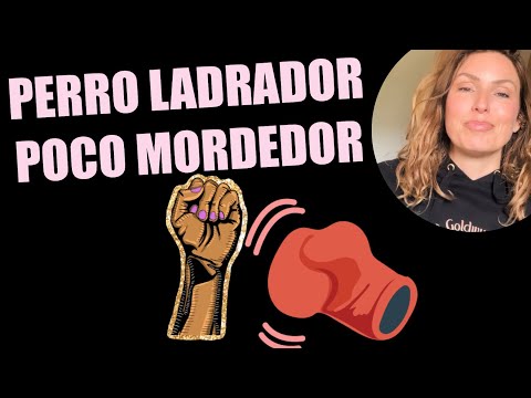 NO ESTÁN EMPODERADAS