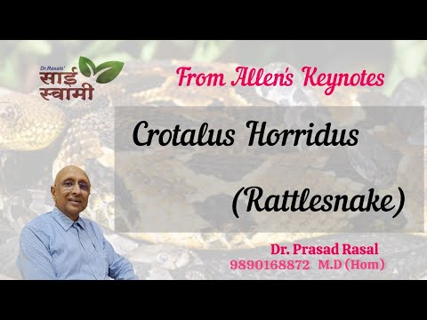 Crotalus horridusについて詳しく解説