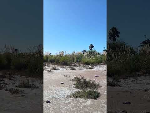 paseo por miramar de ansenuza #diversión #paseo #familia #cordoba #viajes #feliz