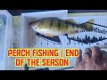 Video Thumbnail for Perch Fishing | End of the Season.