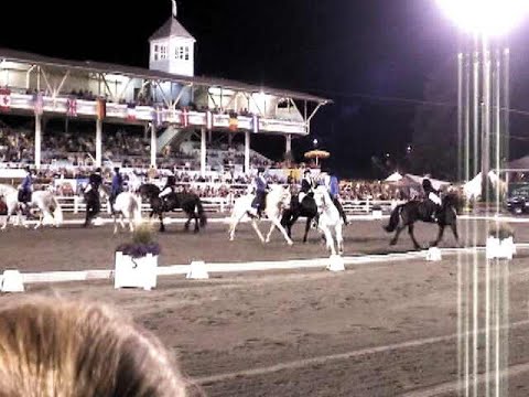 Dressage at Devon 2005, Carousel Horses